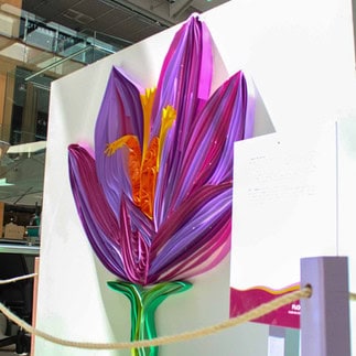 Giant Flowers